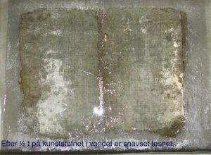 HrupSkP0323.jpg